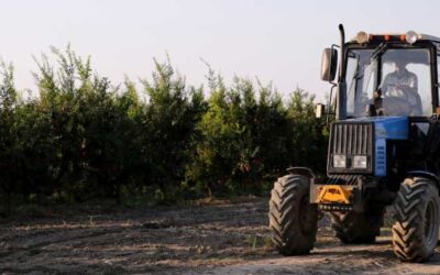 Antes de la campaña: pon tu tractor a punto para la vendimia y la recolección