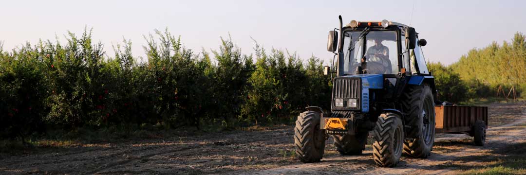 Antes de la campaña: pon tu tractor a punto para la vendimia y la recolección